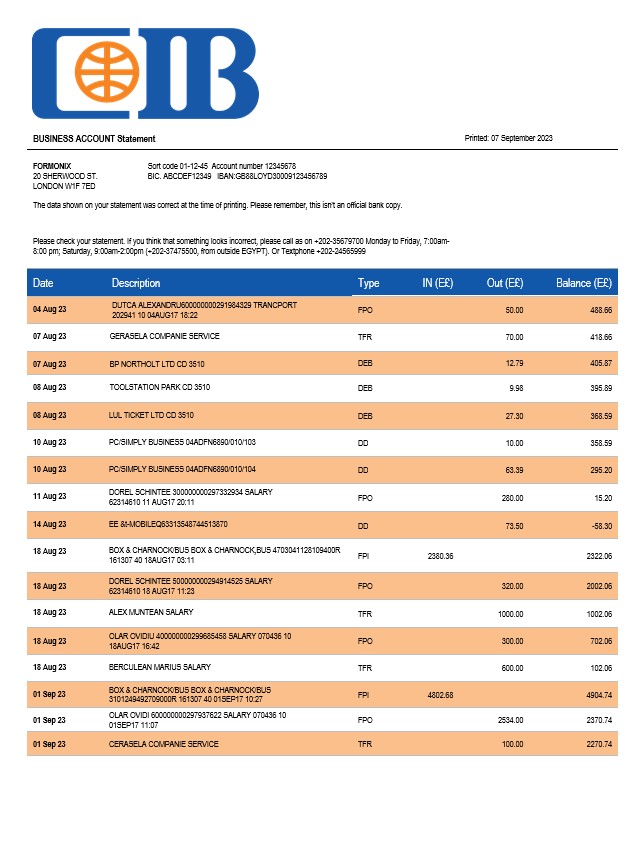 Modèle Word et PDF de relevé de compte d'entreprise de la Banque CIB